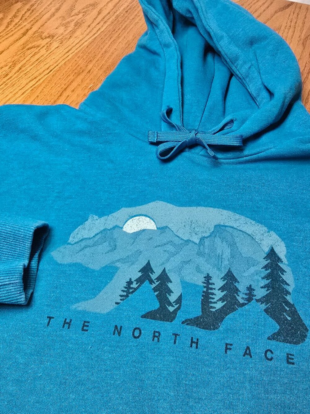 The North Face Bear And Mountain Hoodie Teal Size Medium